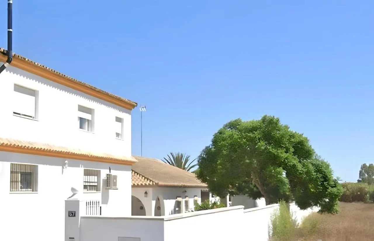 Apartment Apartamentos Lugar Tranquilo Facil Aparcamientos Conil De La Frontera